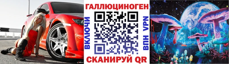 Галлюциногенные грибы прущие грибы  Кингисепп 