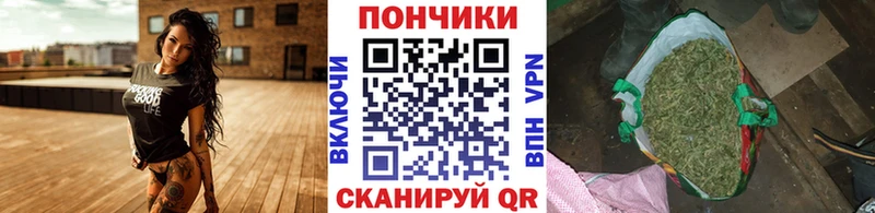 МАРИХУАНА SATIVA & INDICA  купить   Кингисепп 